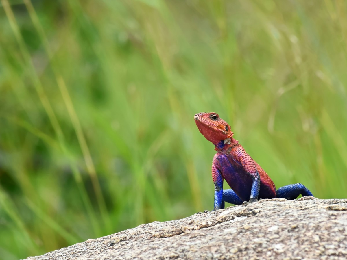 I Built the App I Always&nbsp;Needed